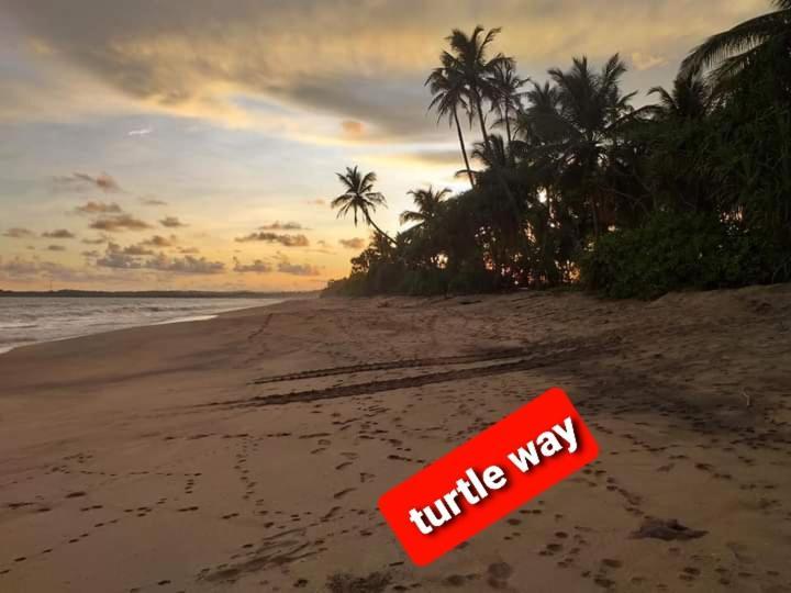 Star Sun Homestay Тангалле Екстер'єр фото